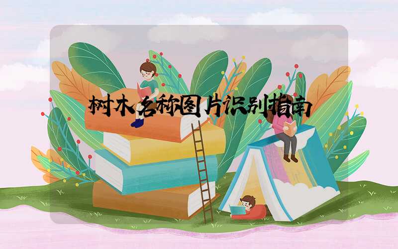  树木名称图片识别指南